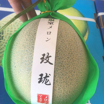 河南网纹瓜、鲁后甜玫珑瓜翠蜜瓜、阿鲁斯甜瓜3-5斤