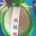 河南网纹瓜、鲁后甜玫珑瓜翠蜜瓜、阿鲁斯甜瓜3-5斤