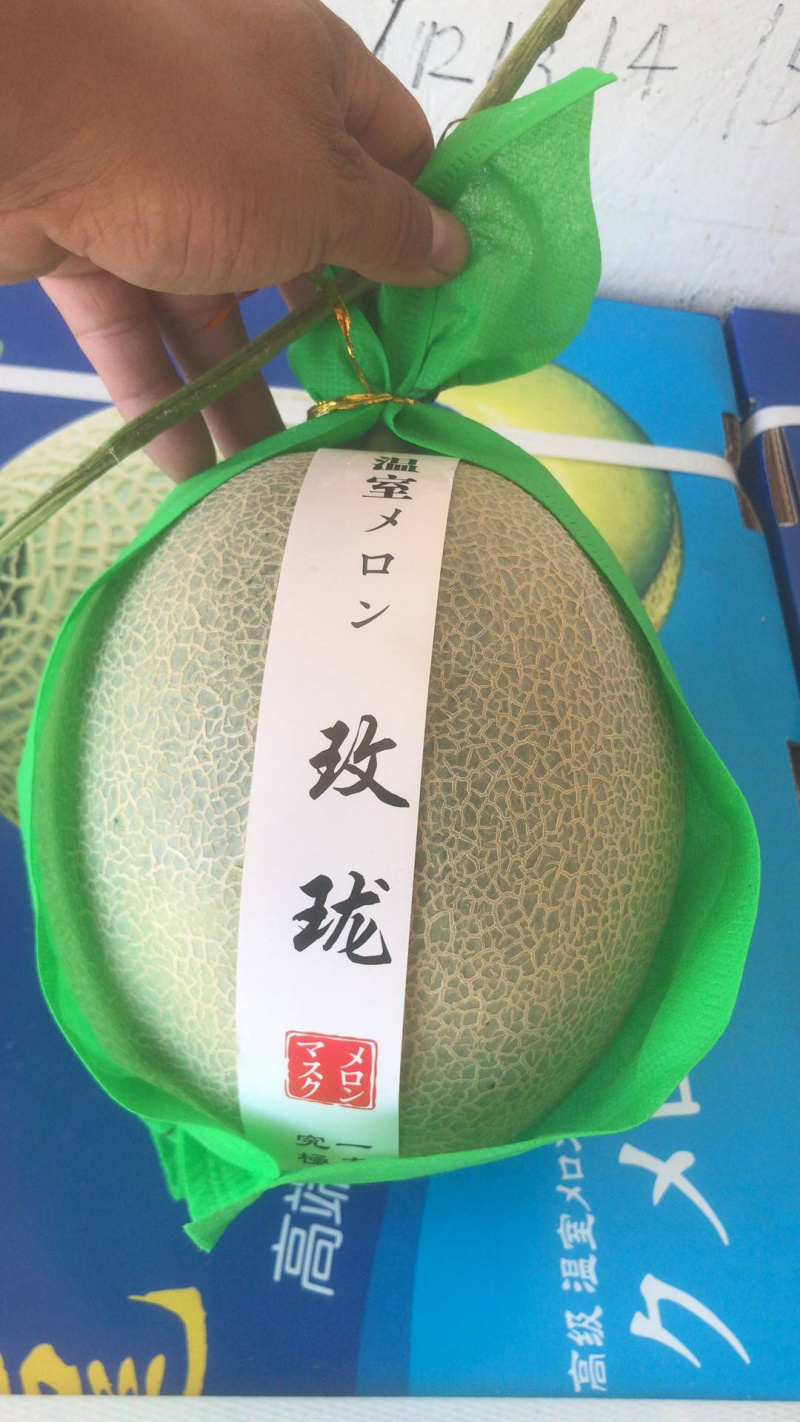 河南网纹瓜、鲁后甜玫珑瓜翠蜜瓜、阿鲁斯甜瓜3-5斤
