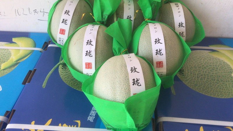 河南网纹瓜、鲁后甜玫珑瓜翠蜜瓜、阿鲁斯甜瓜3-5斤