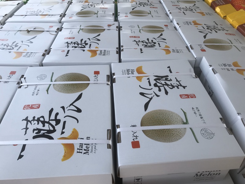 河南网纹瓜、鲁后甜玫珑瓜翠蜜瓜、阿鲁斯甜瓜3-5斤