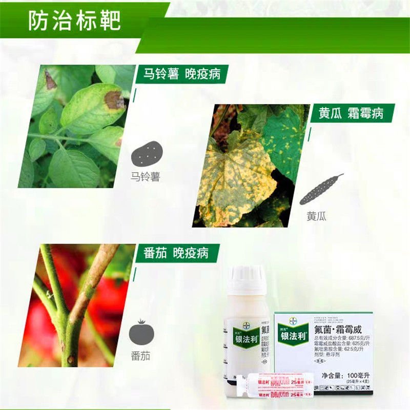 德国拜耳银法利霜霉威氟吡菌胺蔬菜霜霉疫病农药杀菌剂