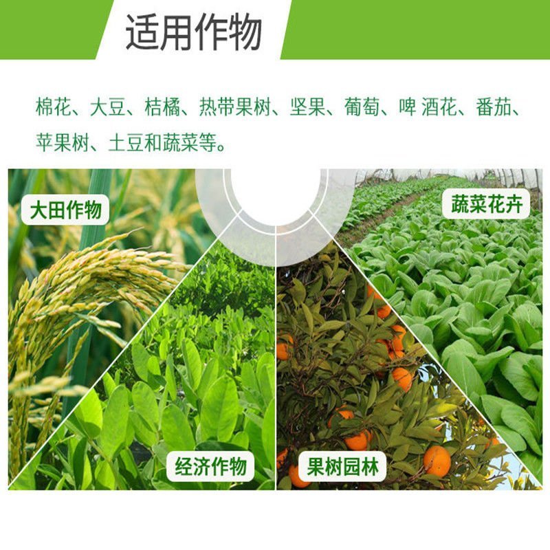 德国拜耳银法利霜霉威氟吡菌胺蔬菜霜霉疫病农药杀菌剂