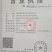 毛叶山桐种苗