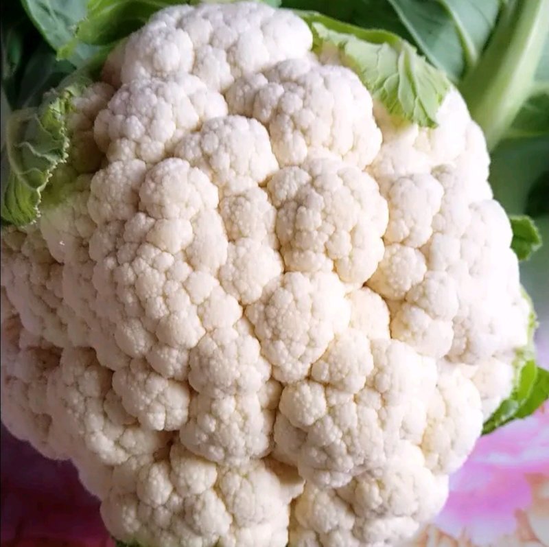 1-3斤菜花，花菜乳白紧花，市场，电商，产地直供全国代发
