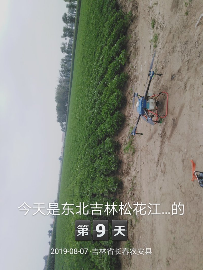 无人机打药