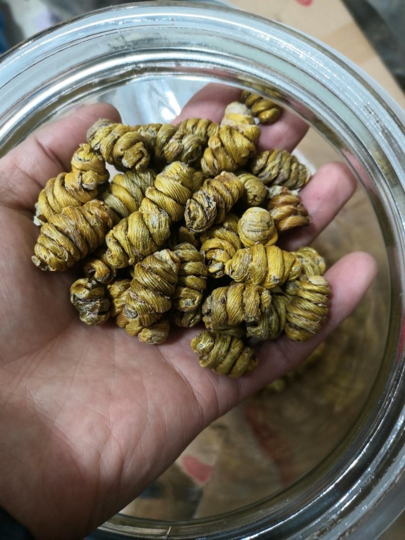 包邮铁皮石斛干条枫斗新货全干品质保证产地直发