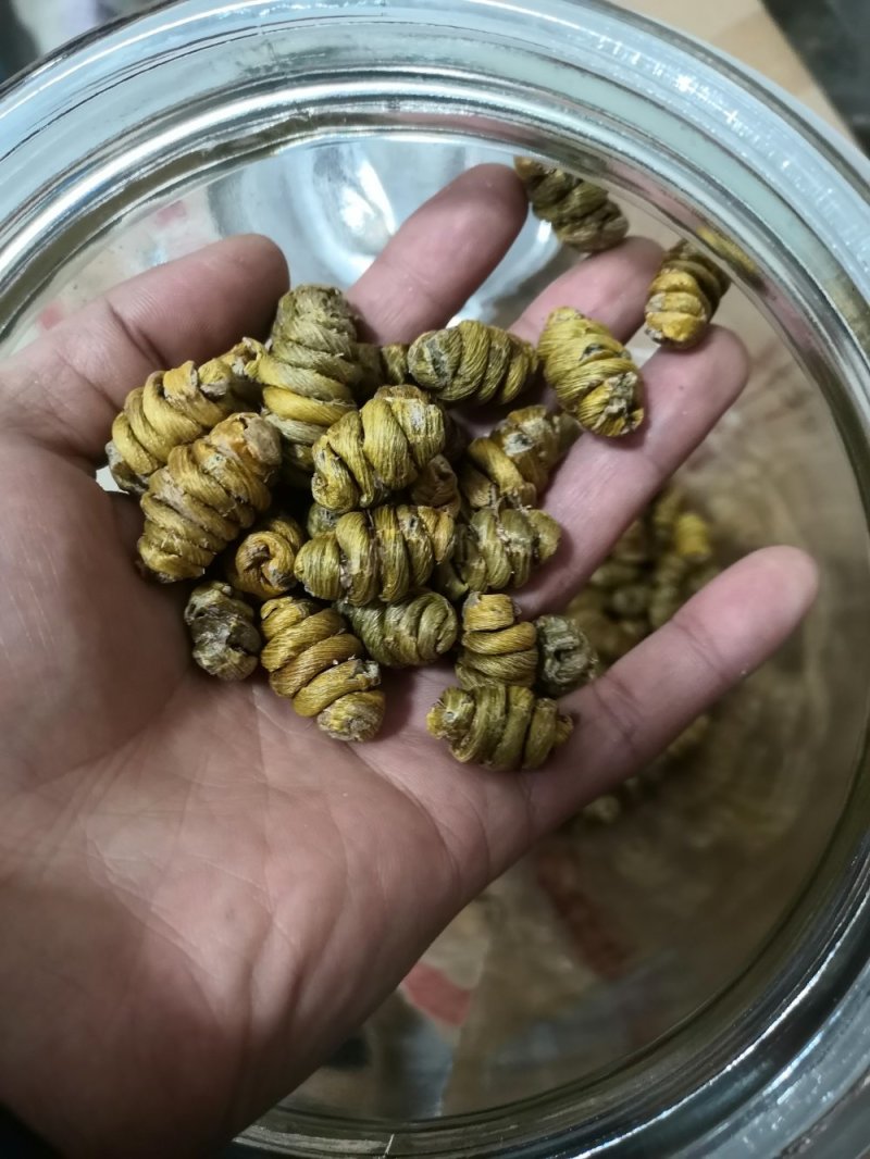 包邮铁皮石斛干条枫斗新货全干品质保证产地直发