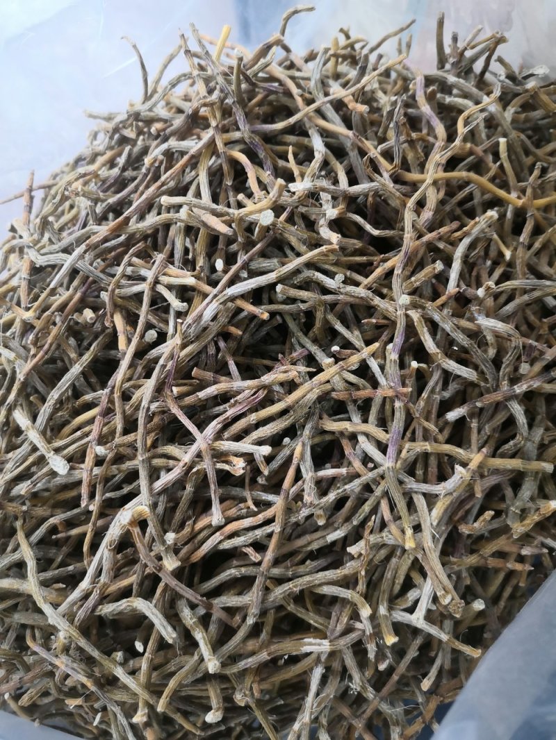 包邮铁皮石斛干条枫斗新货全干品质保证产地直发