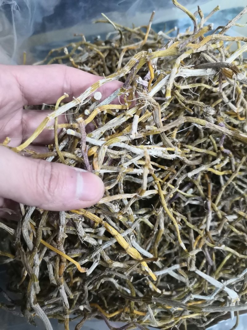 包邮铁皮石斛干条枫斗新货全干品质保证产地直发