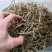 包邮铁皮石斛干条枫斗新货全干品质保证产地直发