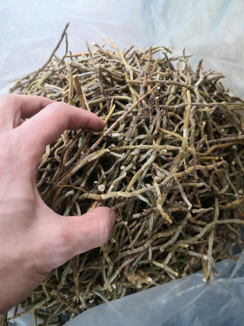 包邮铁皮石斛干条枫斗新货全干品质保证产地直发