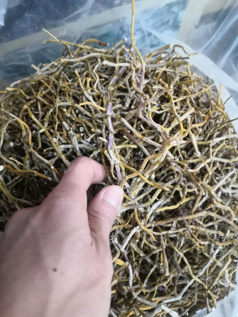 包邮铁皮石斛干条枫斗新货全干品质保证产地直发
