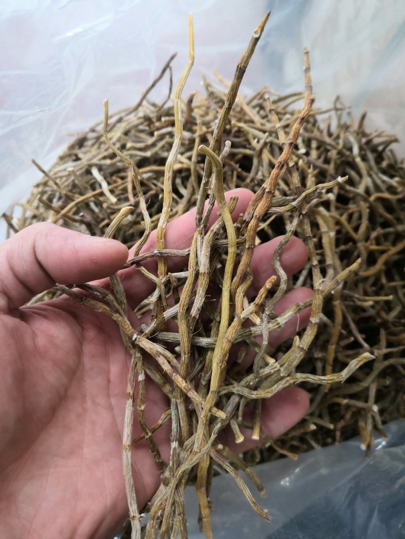 包邮铁皮石斛干条枫斗新货全干品质保证产地直发
