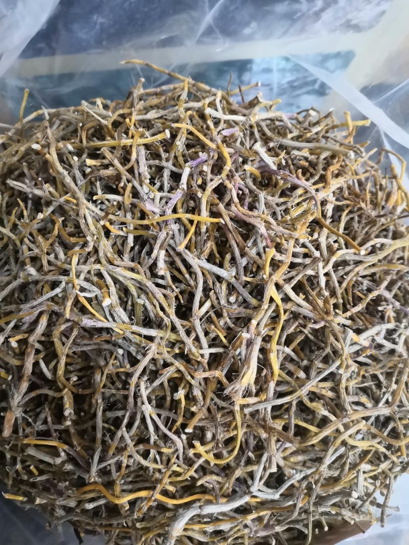 包邮铁皮石斛干条枫斗新货全干品质保证产地直发