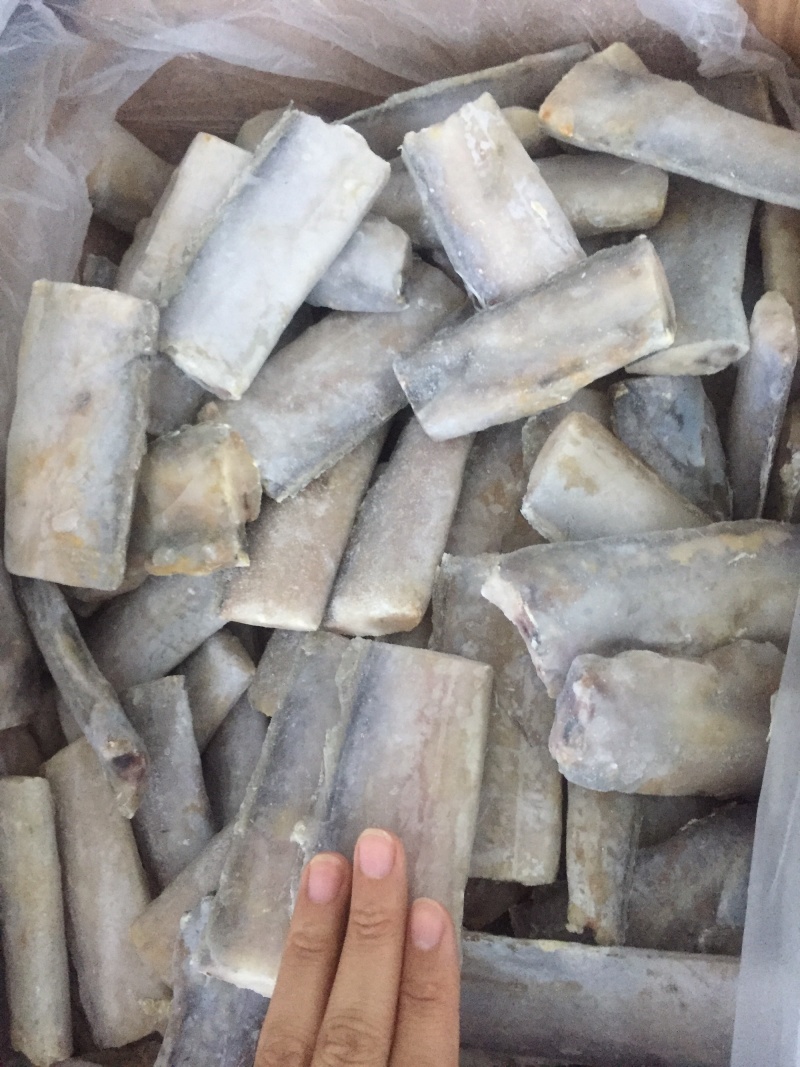 3-5北方渤海湾刀鱼段
