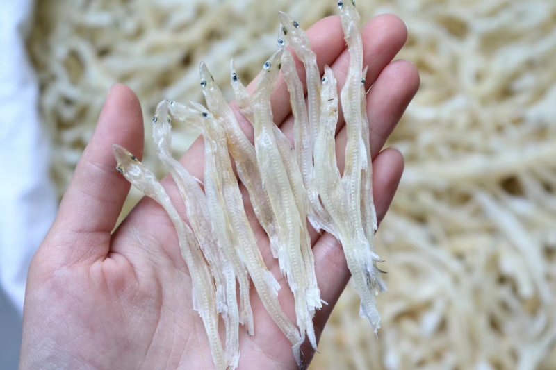 直销精选中大号银鱼干纯淡干新鲜味道浓肉质肥嫩紧实