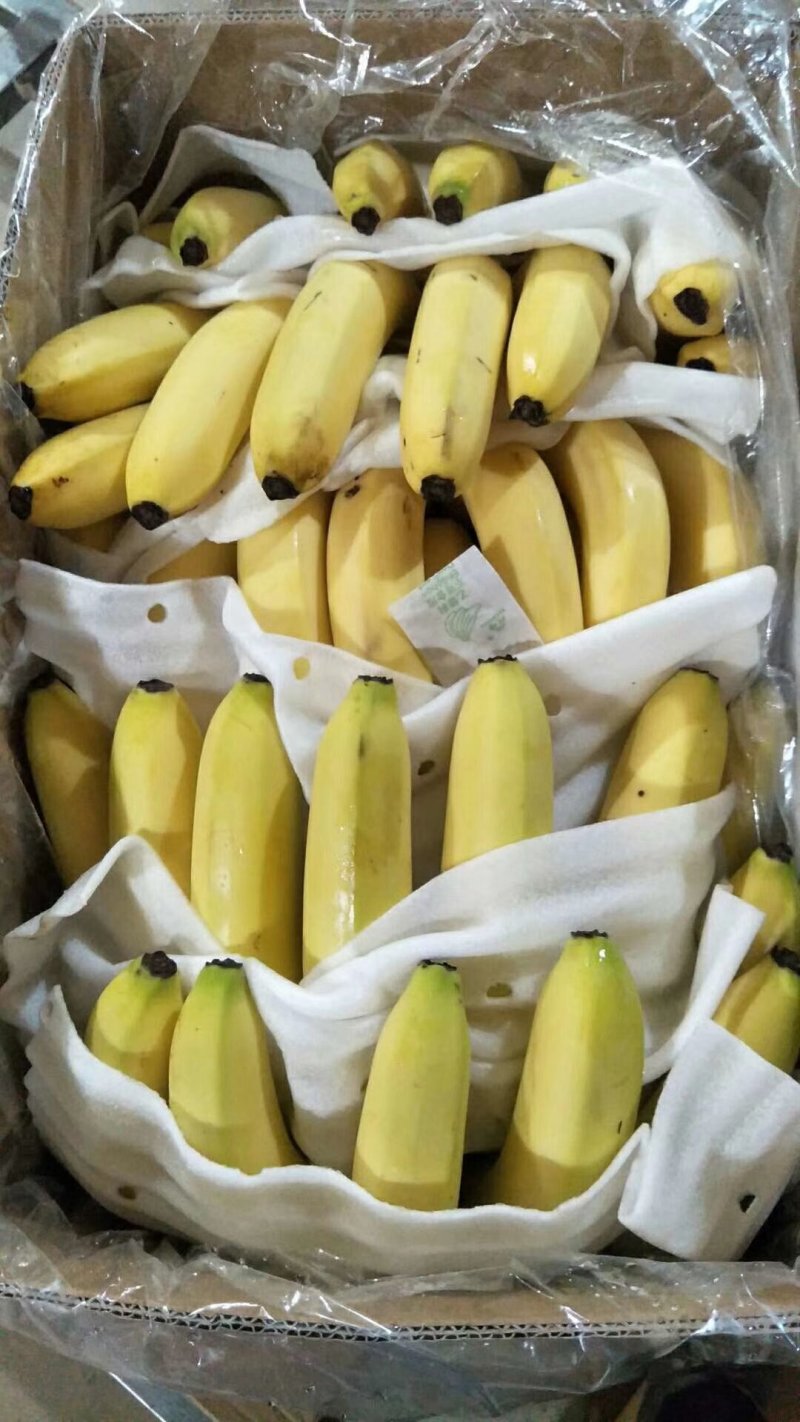 香蕉