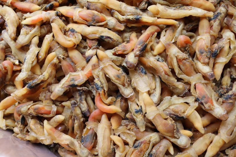 精选大号蛏子干新鲜足干干净无沙个头饱满肉质多