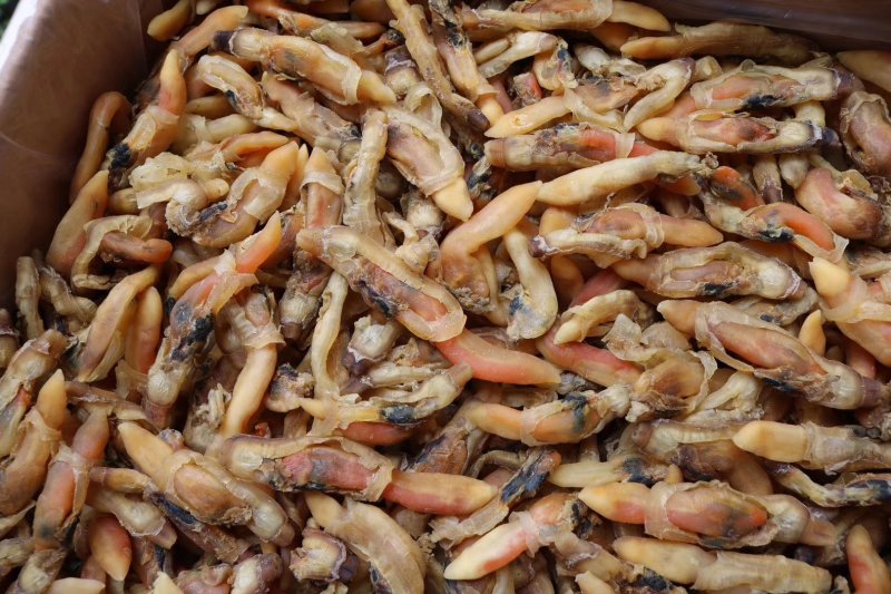 精选大号蛏子干新鲜足干干净无沙个头饱满肉质多