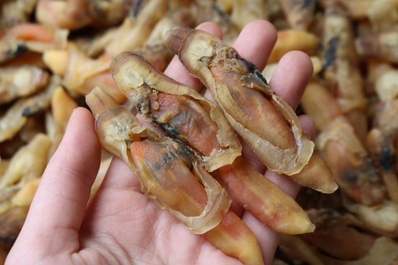 精选大号蛏子干新鲜足干干净无沙个头饱满肉质多