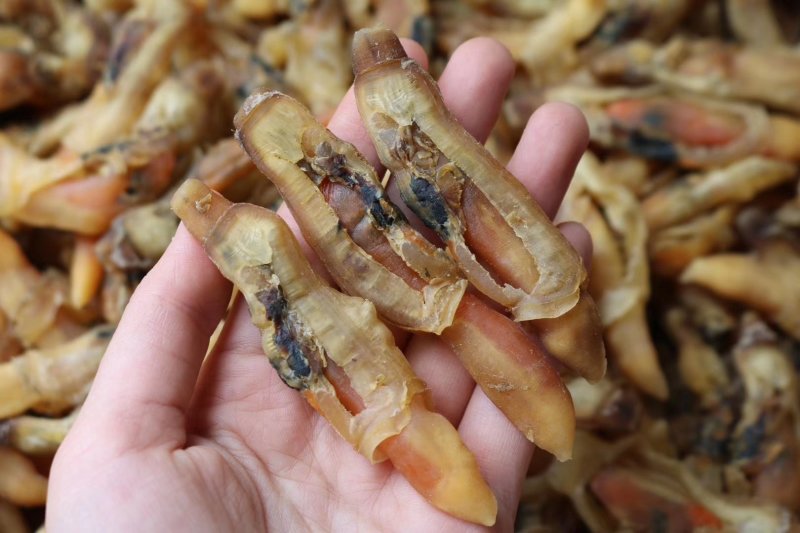 精选大号蛏子干新鲜足干干净无沙个头饱满肉质多