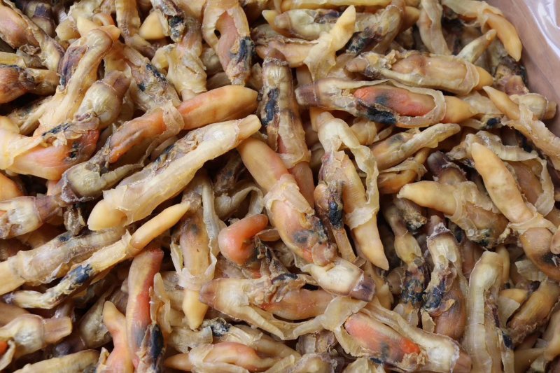 精选大号蛏子干新鲜足干干净无沙个头饱满肉质多