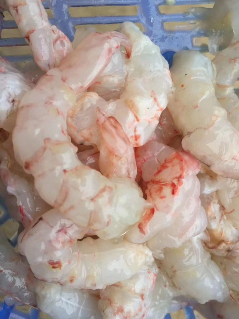 工厂直销新鲜冷冻樱花虾仁肉新鲜不泡水去壳去沙线肉质肥美