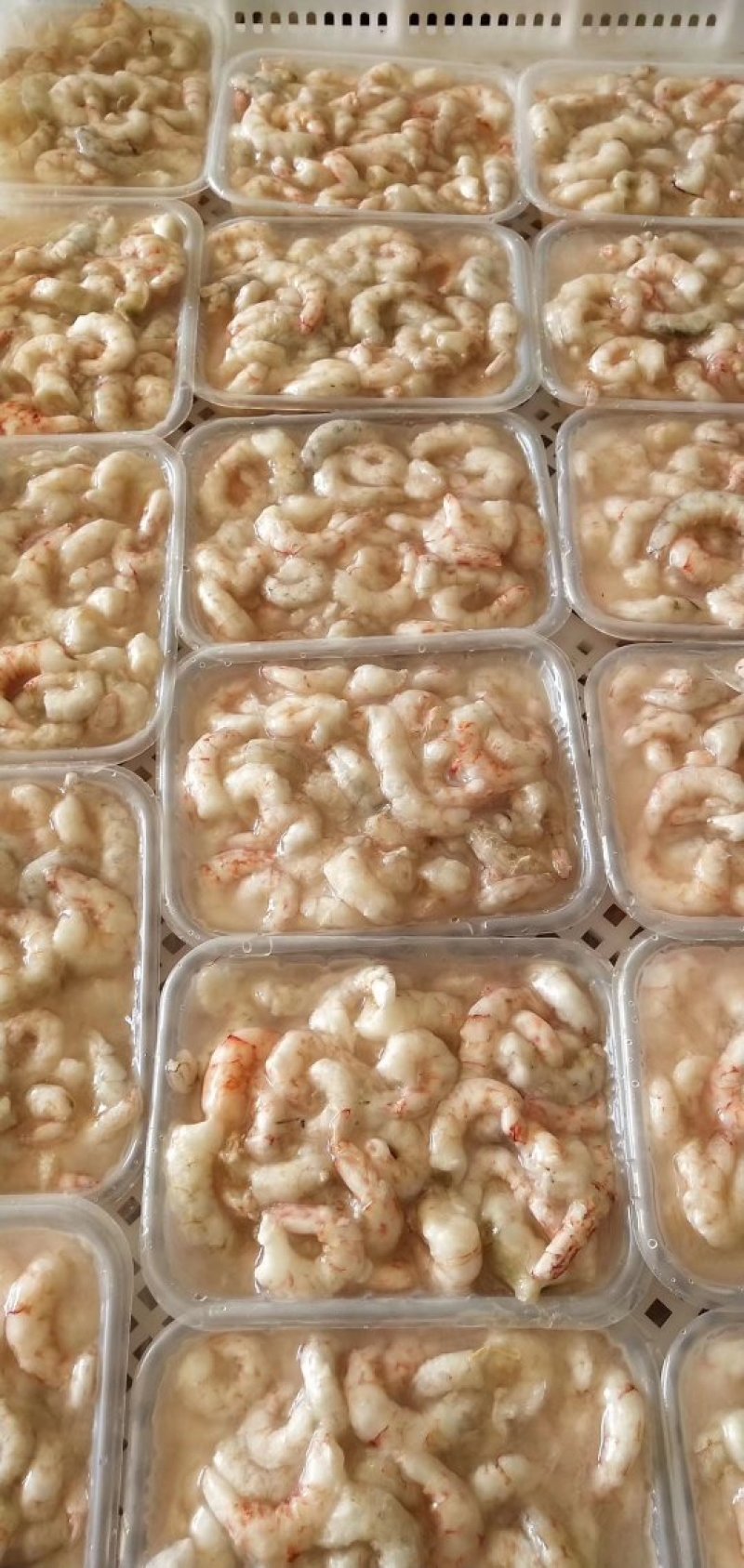 工厂直销新鲜冷冻樱花虾仁肉新鲜不泡水去壳去沙线肉质肥美