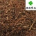龙胆草好统货实物图过筛货供应各种中药材