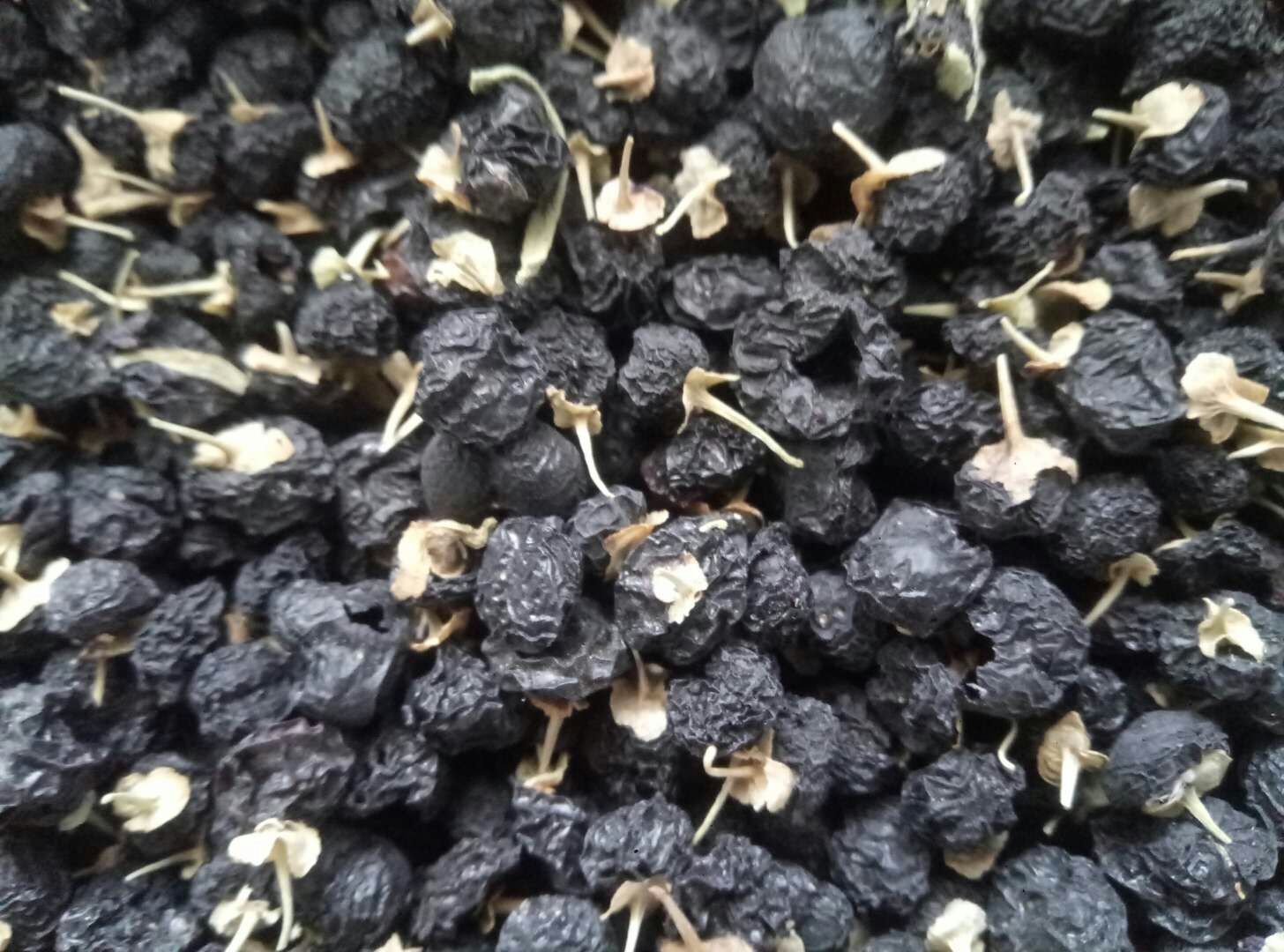 黑枸杞与黑果腺肋花楸对比图