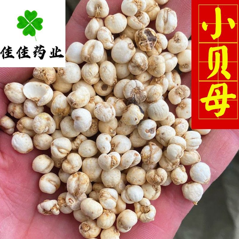 佳佳药业供应小贝母0.5和1.0选货供应各种中药材