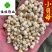 佳佳药业供应小贝母0.5和1.0选货供应各种中药材