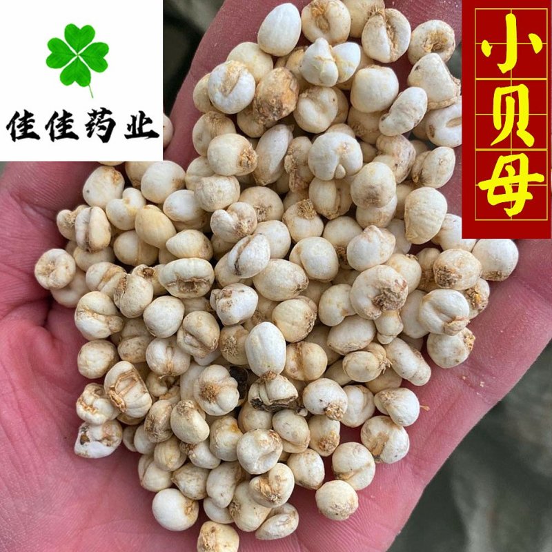 佳佳药业供应小贝母0.5和1.0选货供应各种中药材