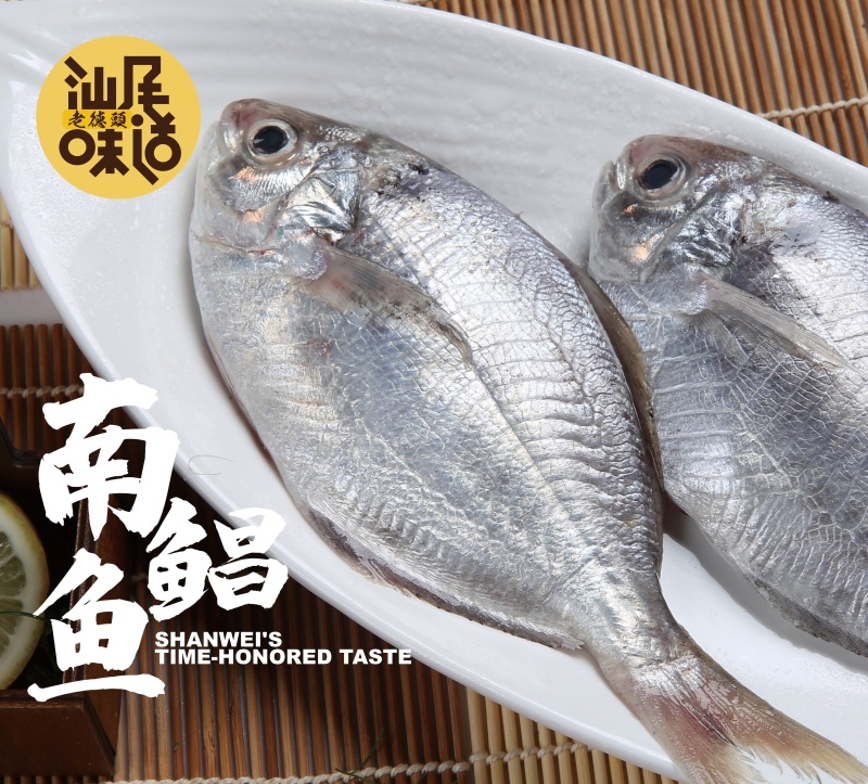 南鲳鱼