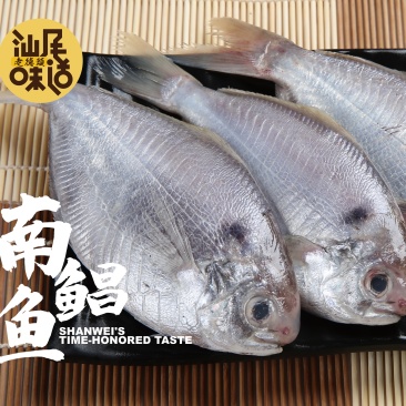 南鲳鱼