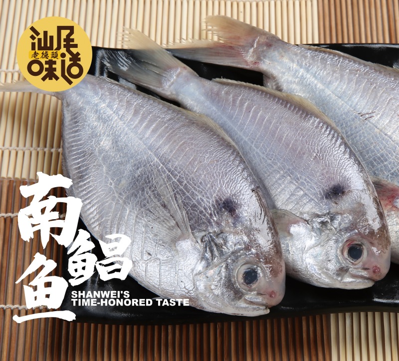 南鲳鱼