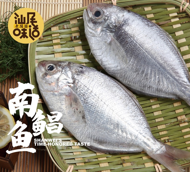 南鲳鱼