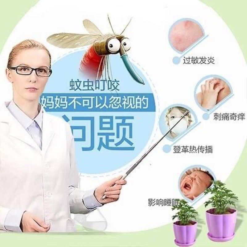驱蚊草6元一颗量大优惠室内驱杀蚊虫绿色花卉植物