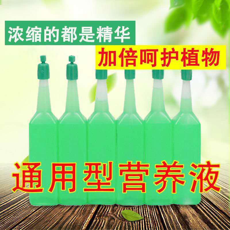 驱蚊草6元一颗量大优惠室内驱杀蚊虫绿色花卉植物