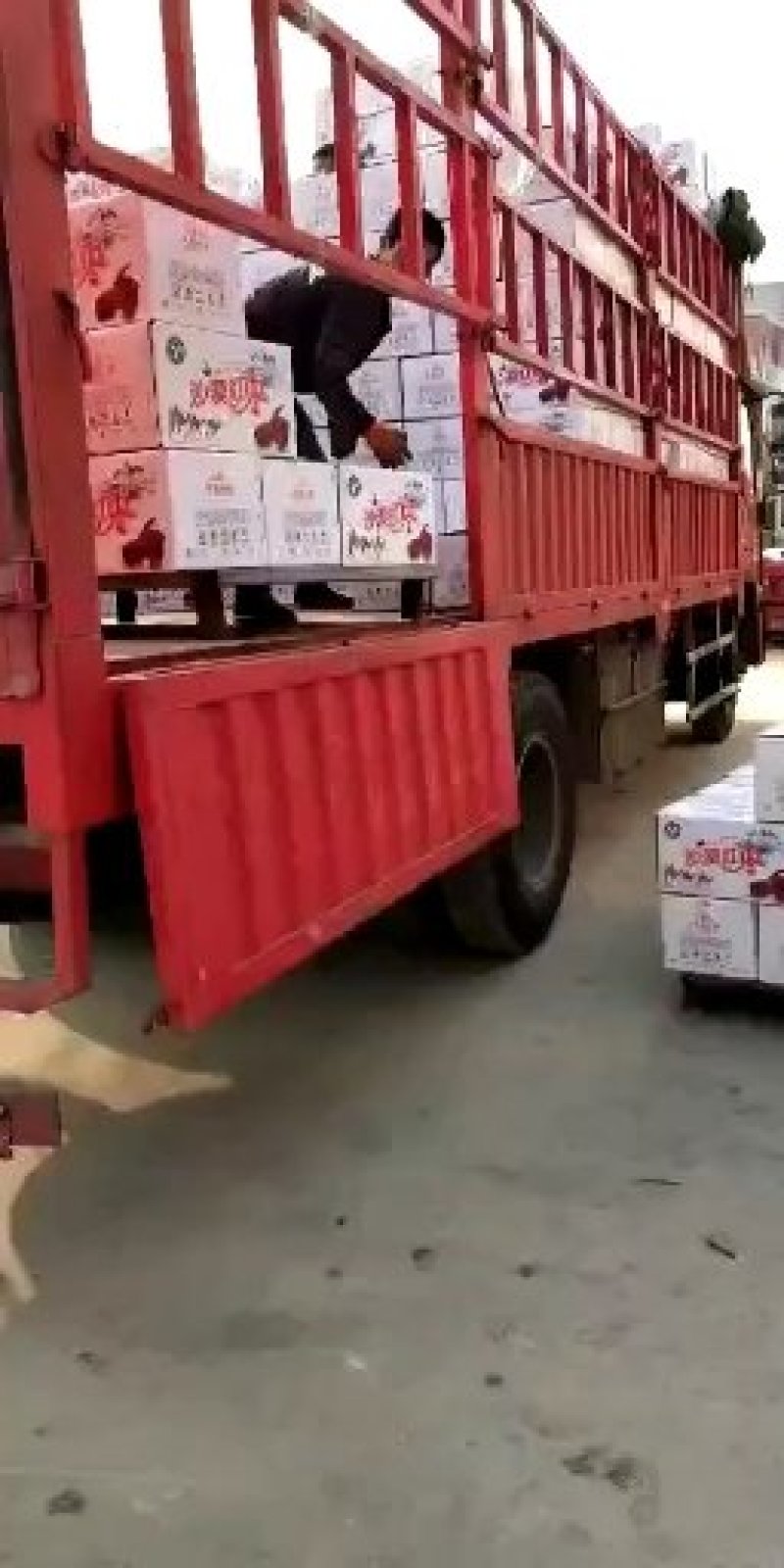 阿胶蜜枣无核软蜜包粽子枣糕用蜜枣厂家供应