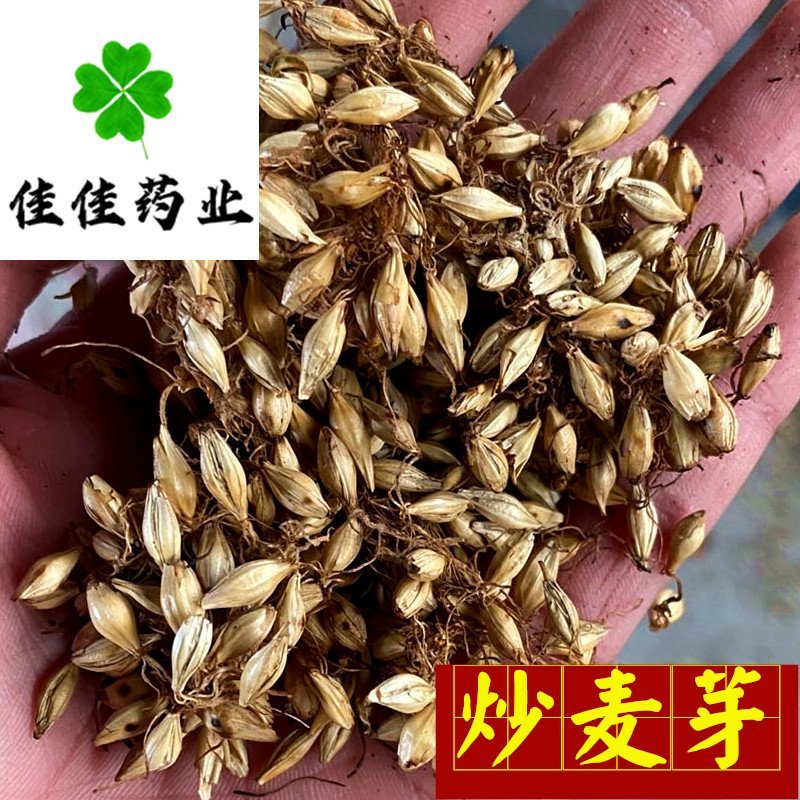 炒麦芽芽多质量好价格低产地直销量大从优