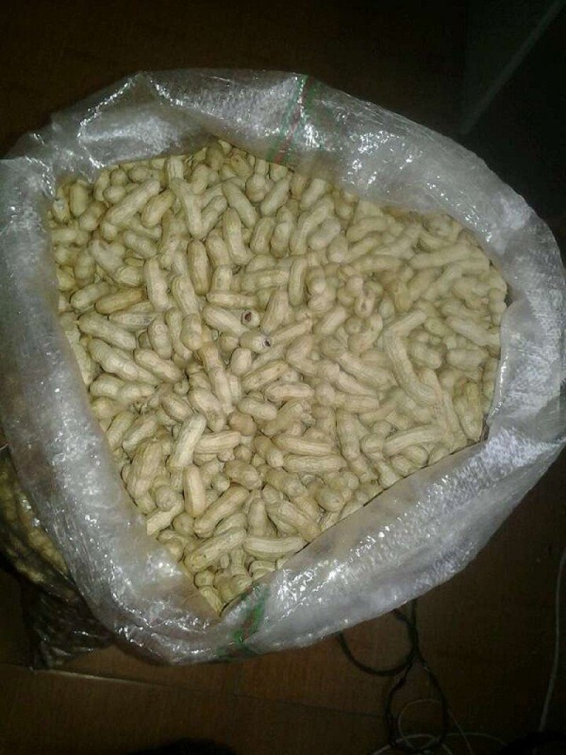 吉林白城洮南四粒红花生果，手选货，通货果，