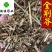 荆芥断全荆芥味道好货干供应各种中药材
