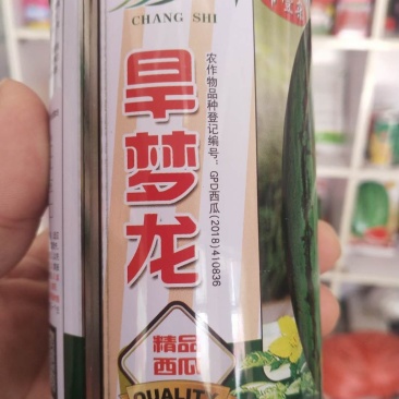 抗旱西瓜种子旱梦龙