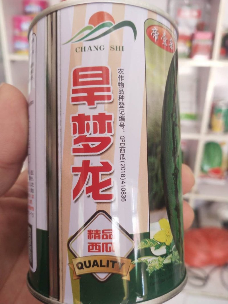 抗旱西瓜种子旱梦龙