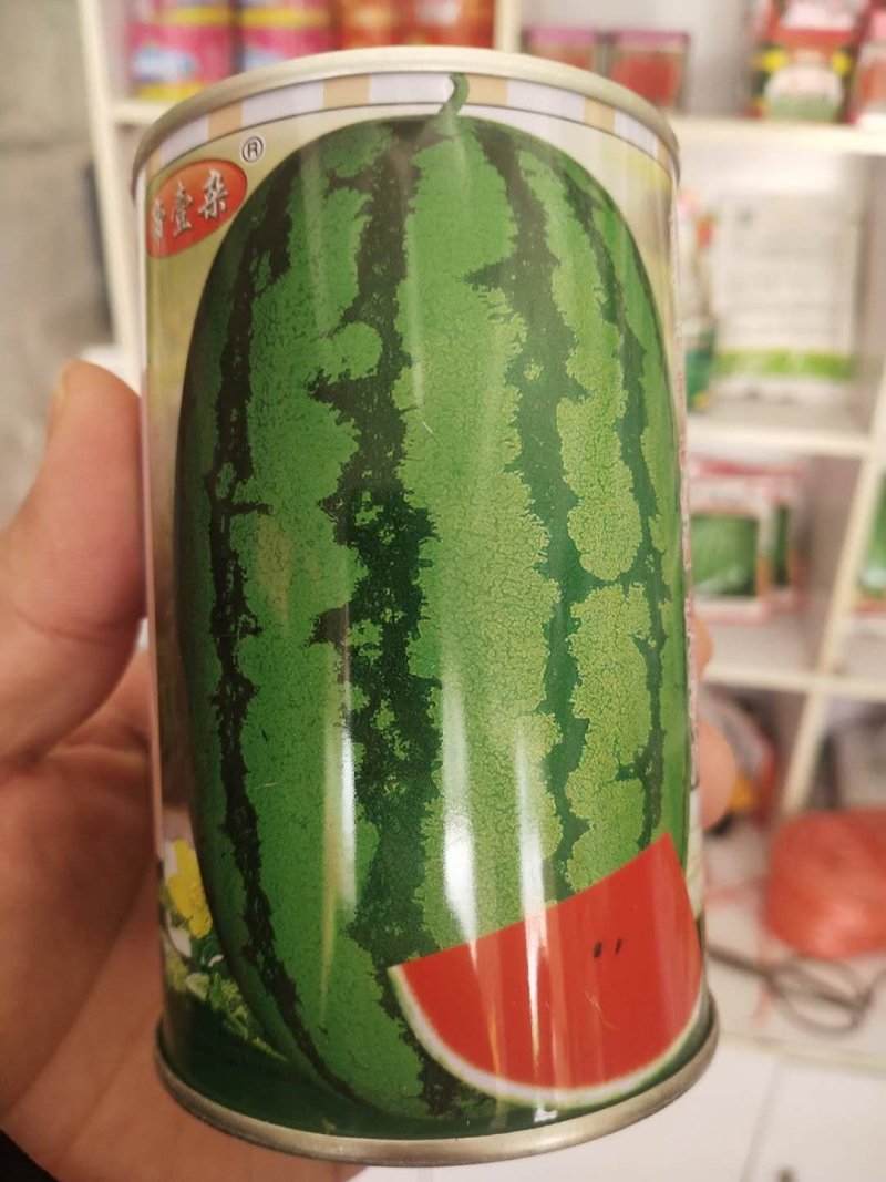 抗旱西瓜种子旱梦龙