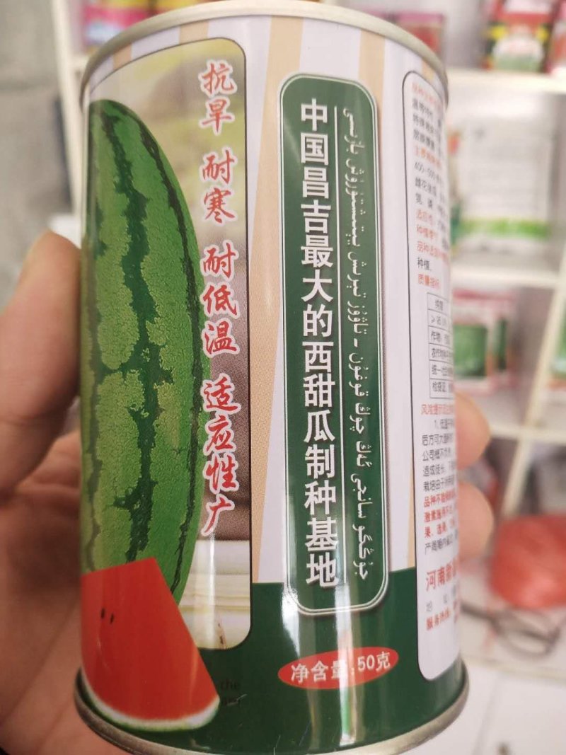 抗旱西瓜种子旱梦龙