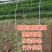 大棚温室骨架二棚地膜弓杆各种中小拱棚骨架玻璃纤维弹力钢棒