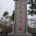 【全国供应】大量有货红油香椿苗提供装车服务可视频